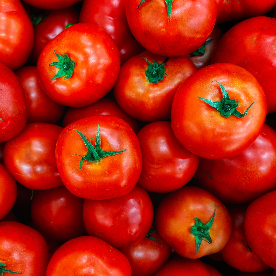 Que planter au jardin - tomates - Univers Du Pro